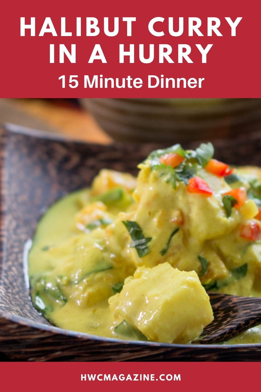 Halibut Coconut Curry in a Hurry (15 Minutes) Healthy World Cuisine