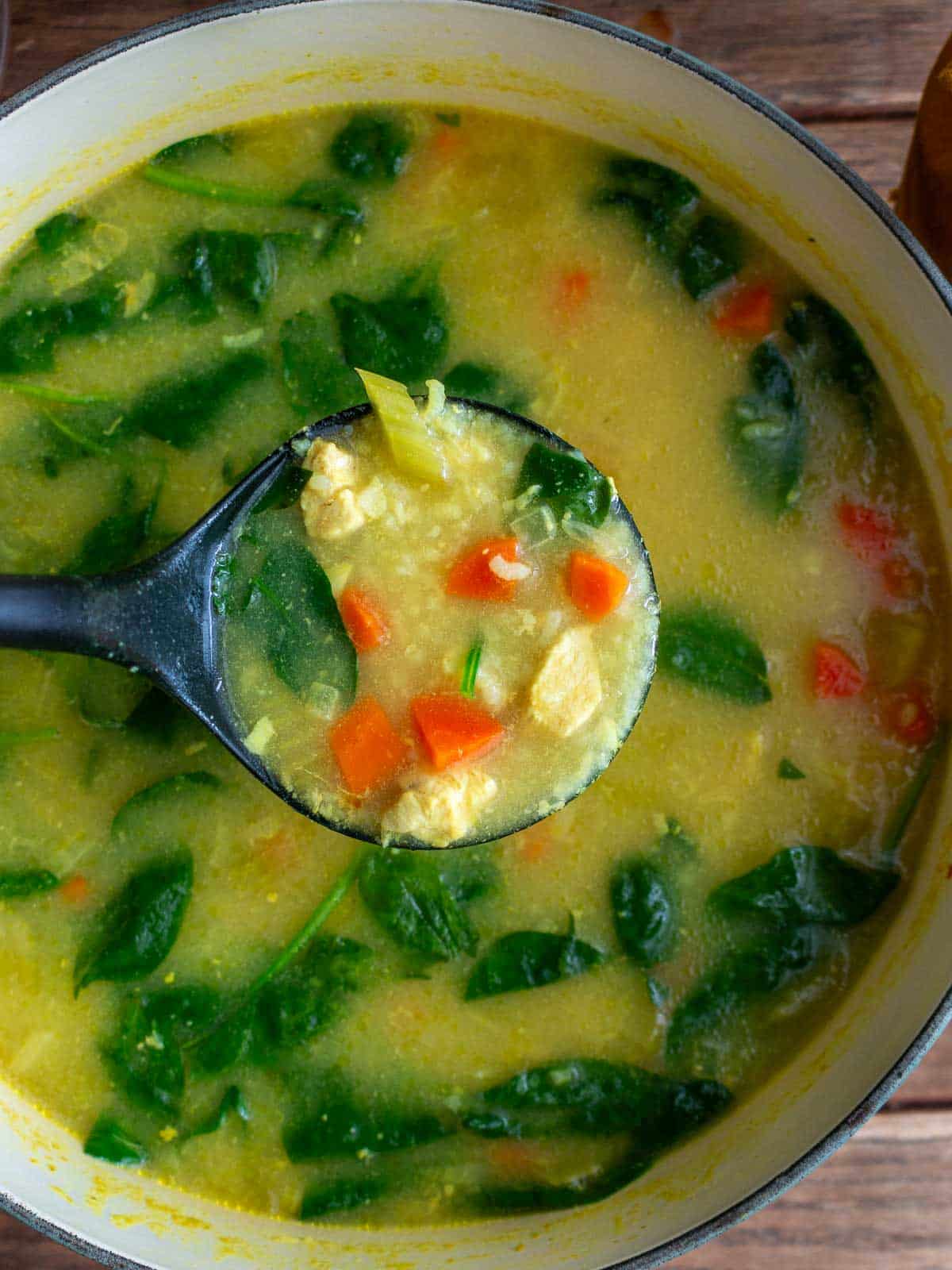 Chicken soup in a large Dutch oven soup pot scooping out a ladle. 