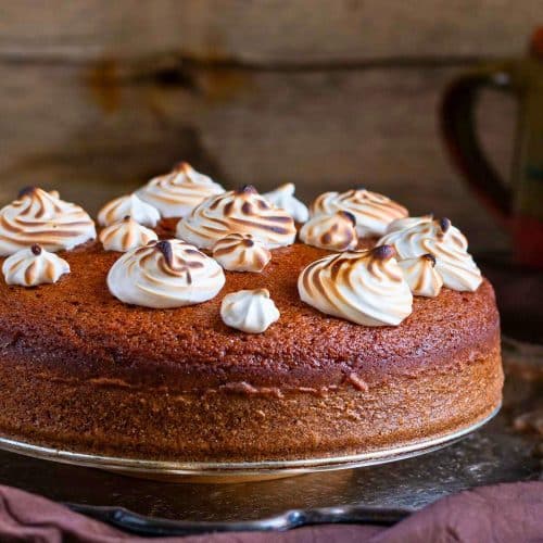 Spiced coffee flavored cake with piped and toasted espresso Swiss meringue on a silver platter.